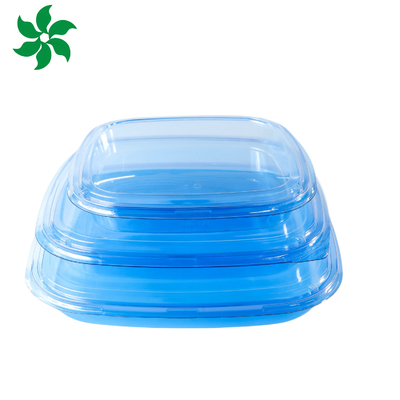 Hộp đóng gói đồ ăn đi kèm Nhựa cho đồ ăn ngon Khối chứa thực phẩm hình vuông Nhựa màu xanh lá cây Hộp sushi dùng một lần
