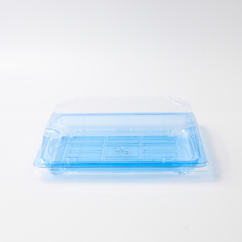 BH00-11 thùng chứa thực phẩm hộp đóng gói đồ ăn uống nhựa cho thực phẩm ngon hộp sushi dùng một lần màu xanh dương