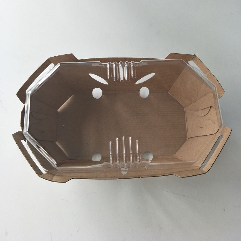 Khay hoa quả giấy Kraft 350gsm có thể tái chế với nắp PET
