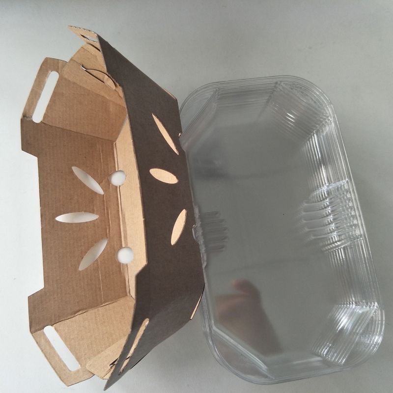 Khay hoa quả giấy Kraft 350gsm có thể tái chế với nắp PET