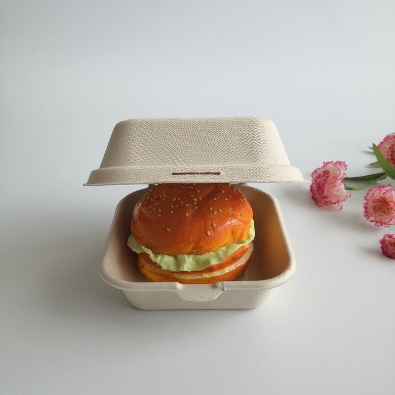 Hộp bánh mì kẹp thịt dùng một lần có thể phân hủy sinh học 5 inch 6 inch