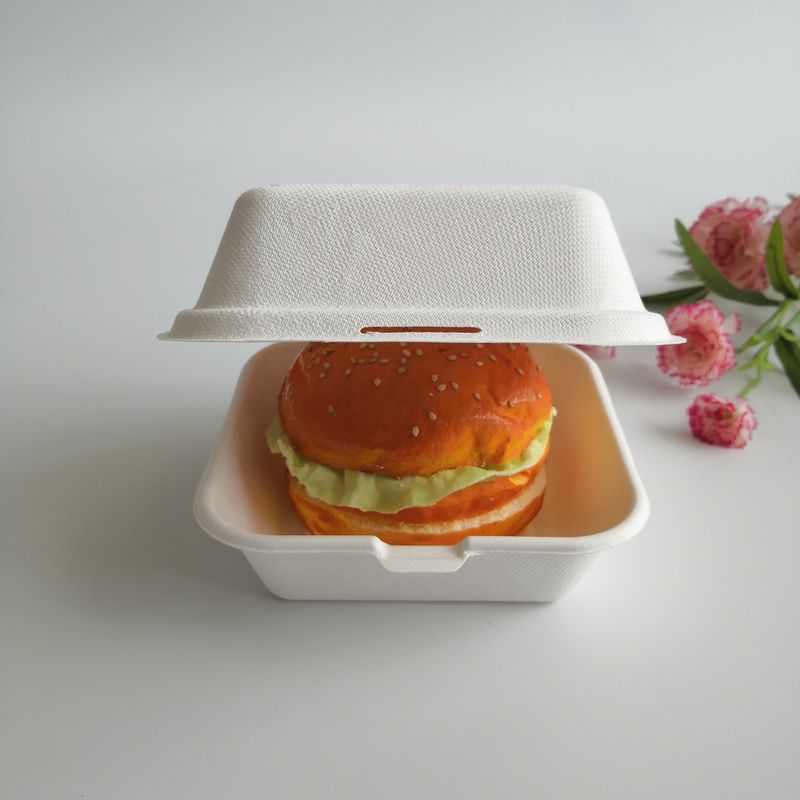 Hộp bánh mì kẹp thịt dùng một lần có thể phân hủy sinh học 5 inch 6 inch