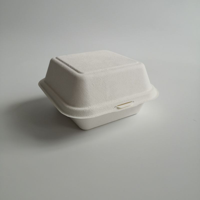 Hộp bánh mì kẹp thịt dùng một lần có thể phân hủy sinh học 5 inch 6 inch